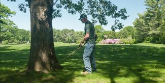 Maintenance worker weeding