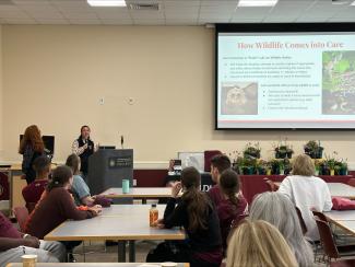 classroom presentation